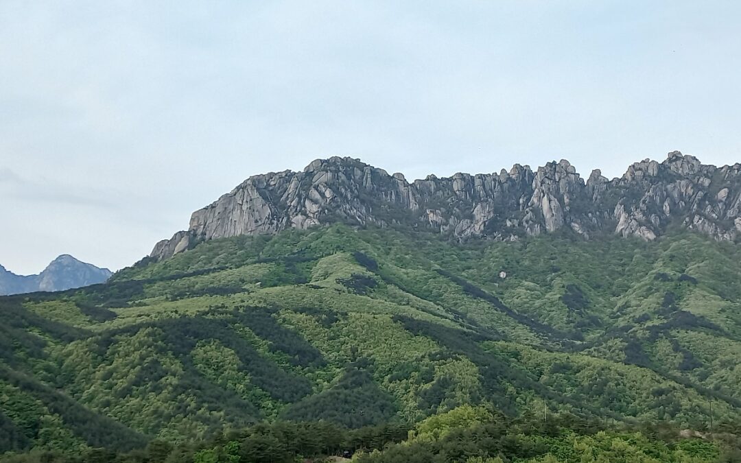 너희에게 평화가 있으라