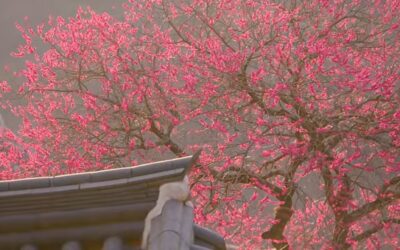 하지 않으면서 하지 않음이 없다