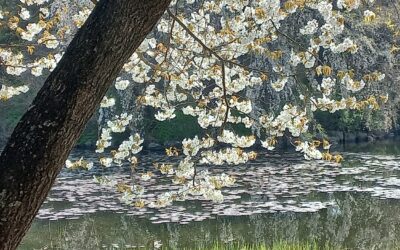 내 친구 조원경 목사(1957-2026)